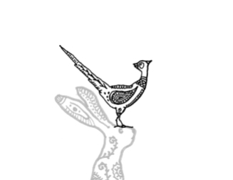 BirdProgress01-02 - Copy